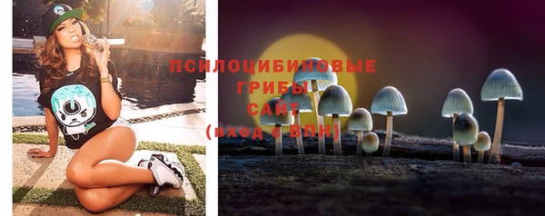 стафф Майский