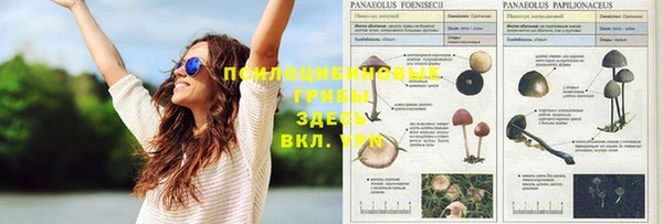 мескалин Лиски