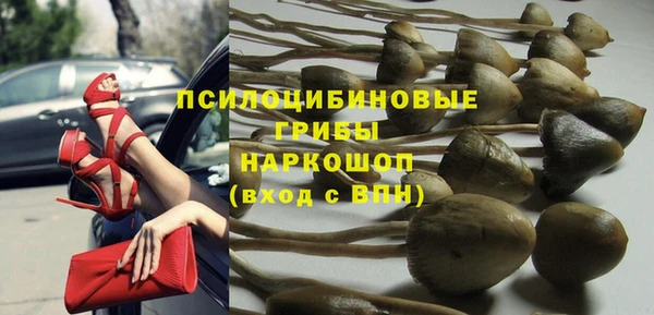 тгк Липки