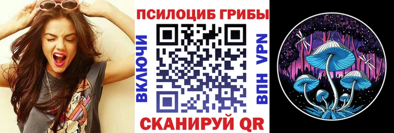 Псилоцибиновые грибы мицелий  Усть-Кут 
