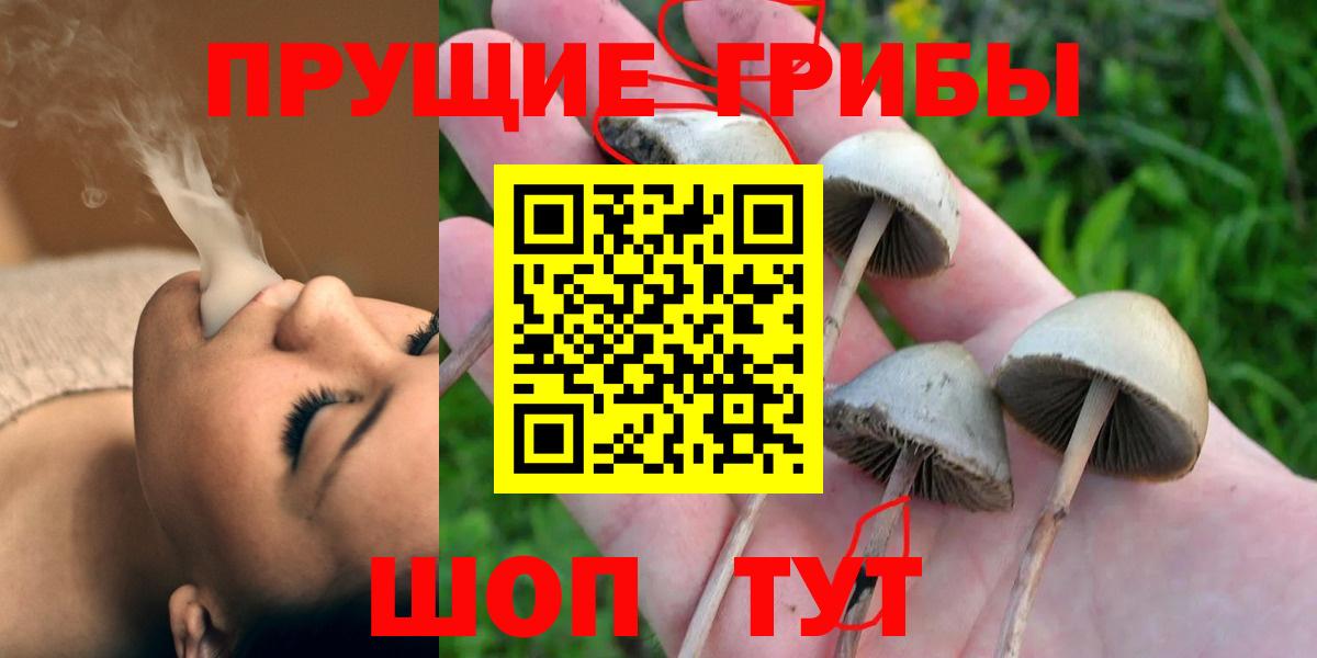 Усть-Кут  Галлюциногенные грибы Magic Shrooms  Галлюциногенные грибы ЛСД  Вход с VPN 