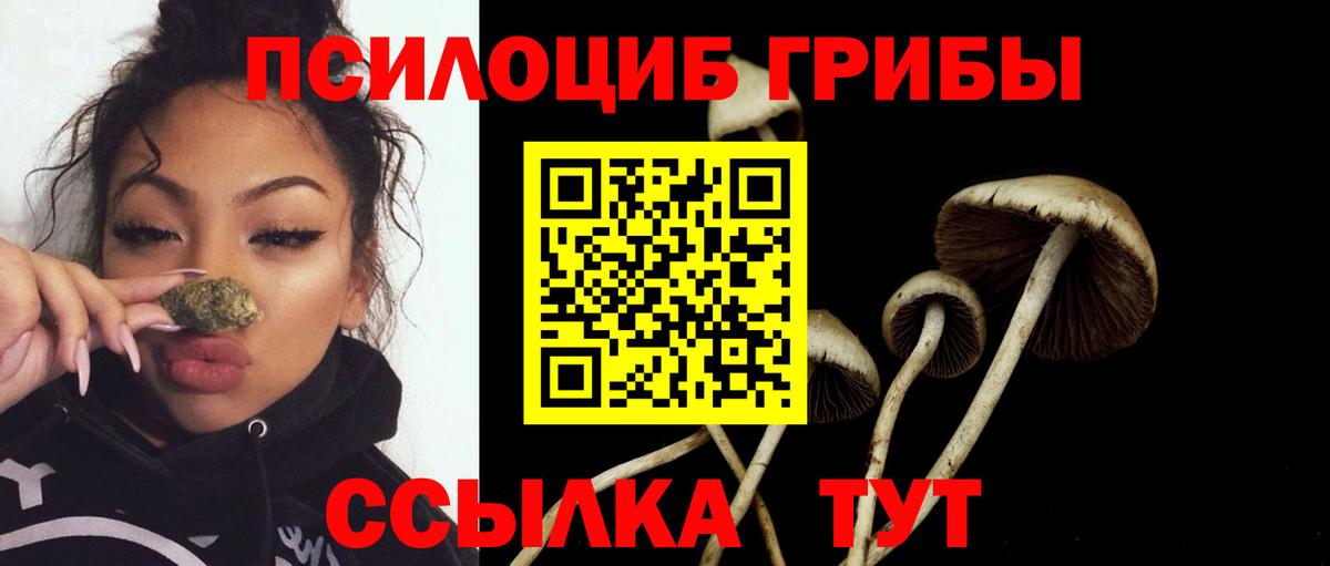 Псилоцибиновые грибы мицелий  Усть-Кут  Галлюциногенные грибы ЛСД 